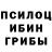 Псилоцибиновые грибы Cubensis Bineeva Galina