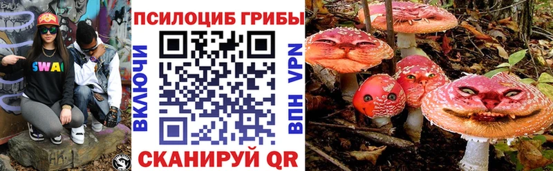 дарнет шоп  Билибино  Галлюциногенные грибы GOLDEN TEACHER 